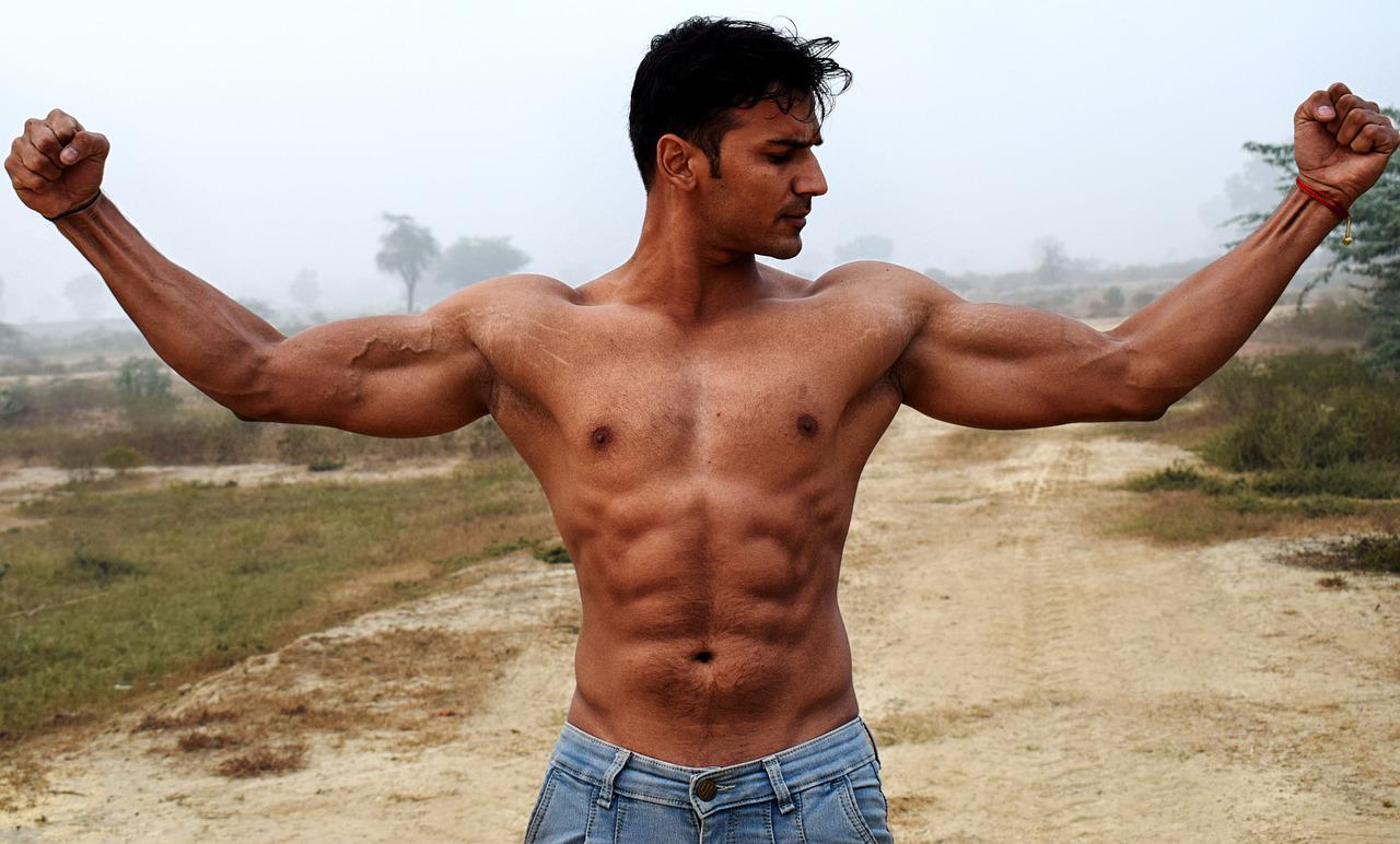 muscles